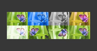 Featured image: webmasterworld